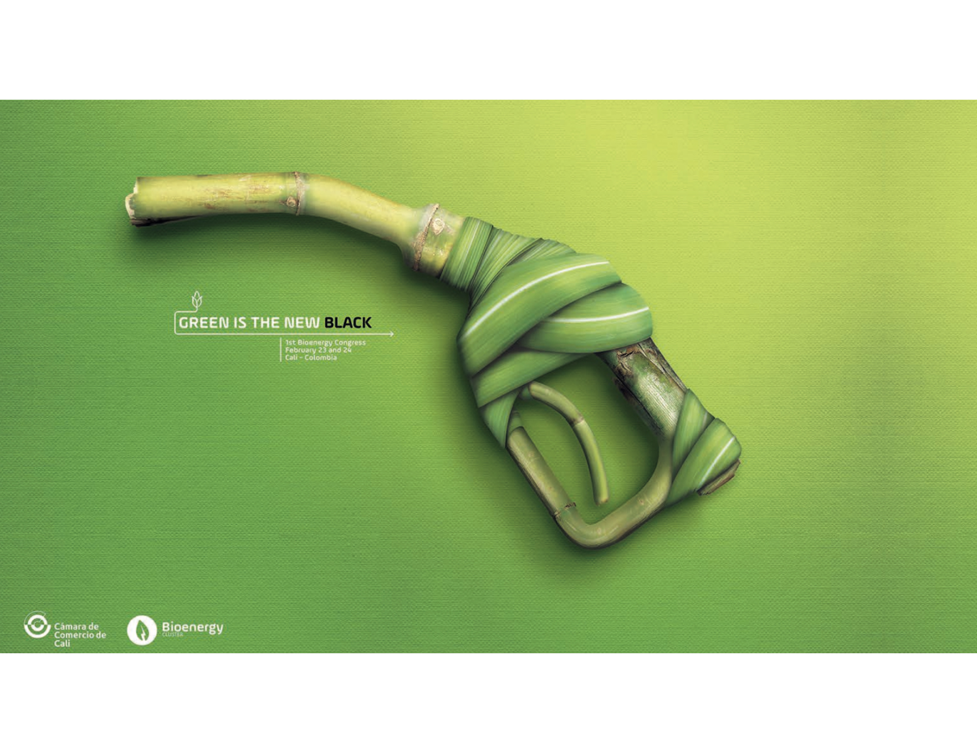 CAMARA DE COMERCIO DE CALI BIOENERGY