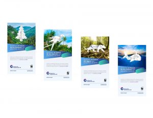 CAMARA DE COMERCIO DE CALI