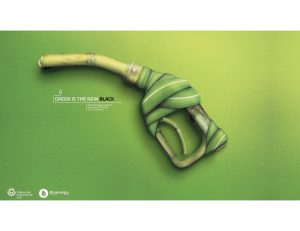 CAMARA DE COMERCIO DE CALI BIOENERGY